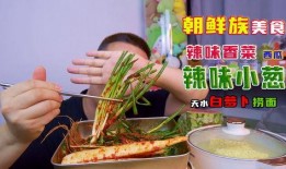 辣味美食爆料视频大全,揭秘热门爆料视频大全