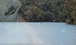 最新爆料白石,最新爆料揭示其不为人知的秘密